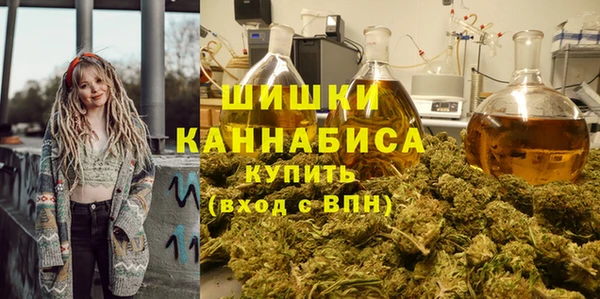 молекула духа Белокуриха