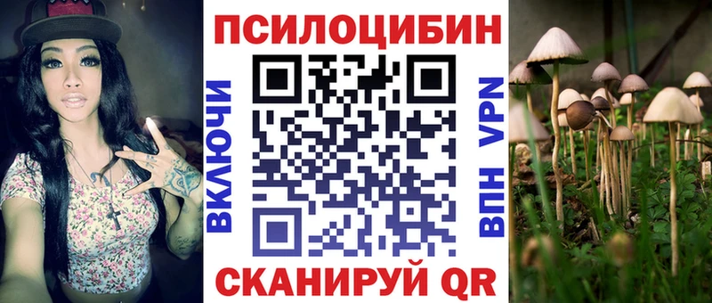 где купить наркоту  Миньяр  Псилоцибиновые грибы Cubensis 